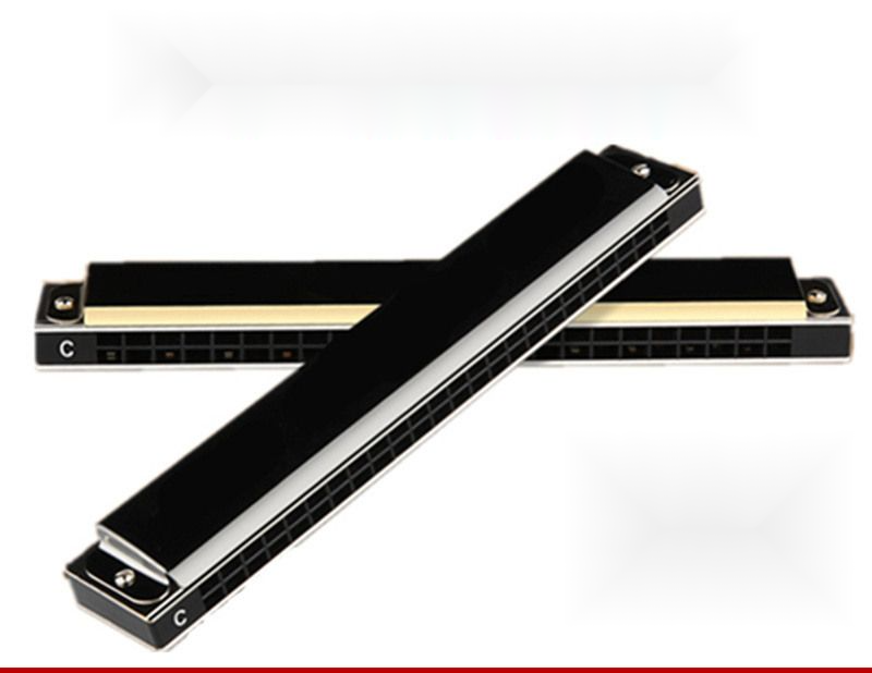 Harmonica For Adults, Children, Beginners, Advanced Self-study, Professional Antique Style, 24 Hole Polyphonic, C-tone,_voghion.com
